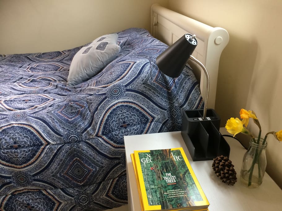 Bed side lamp and phone charger.