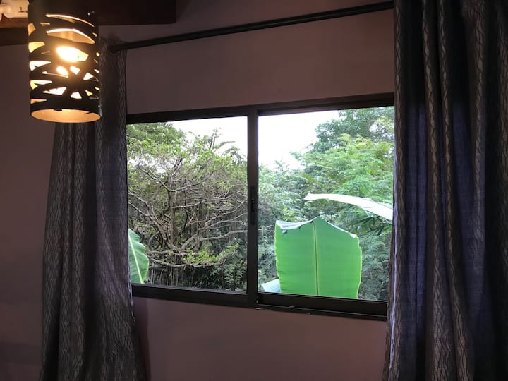 عرض من شقة علوية