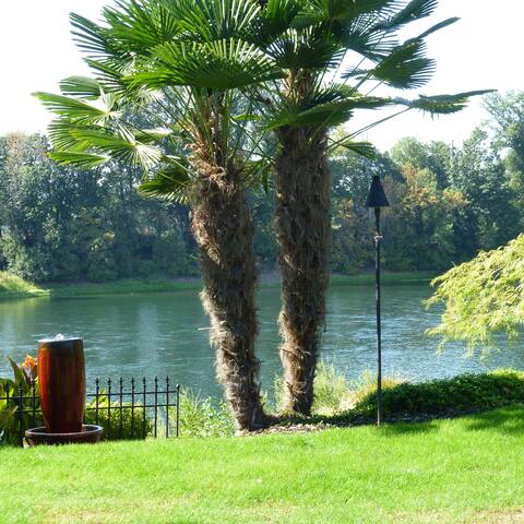 Peace & Tranquility by the River gallery image 5