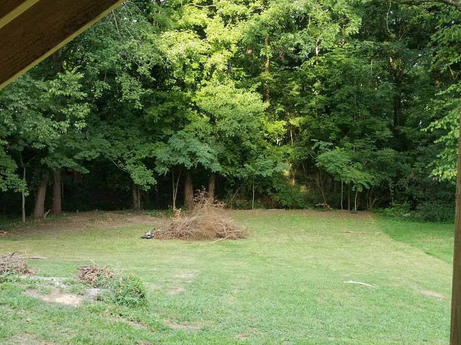 brush pile is gone. Backyard