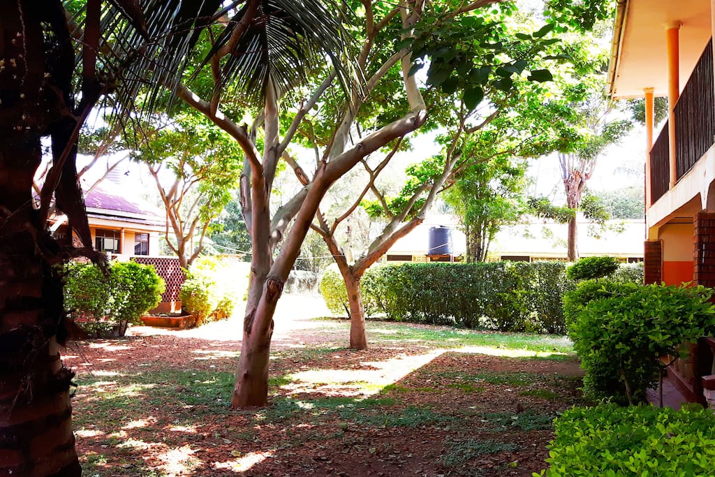 Compound and front yard
