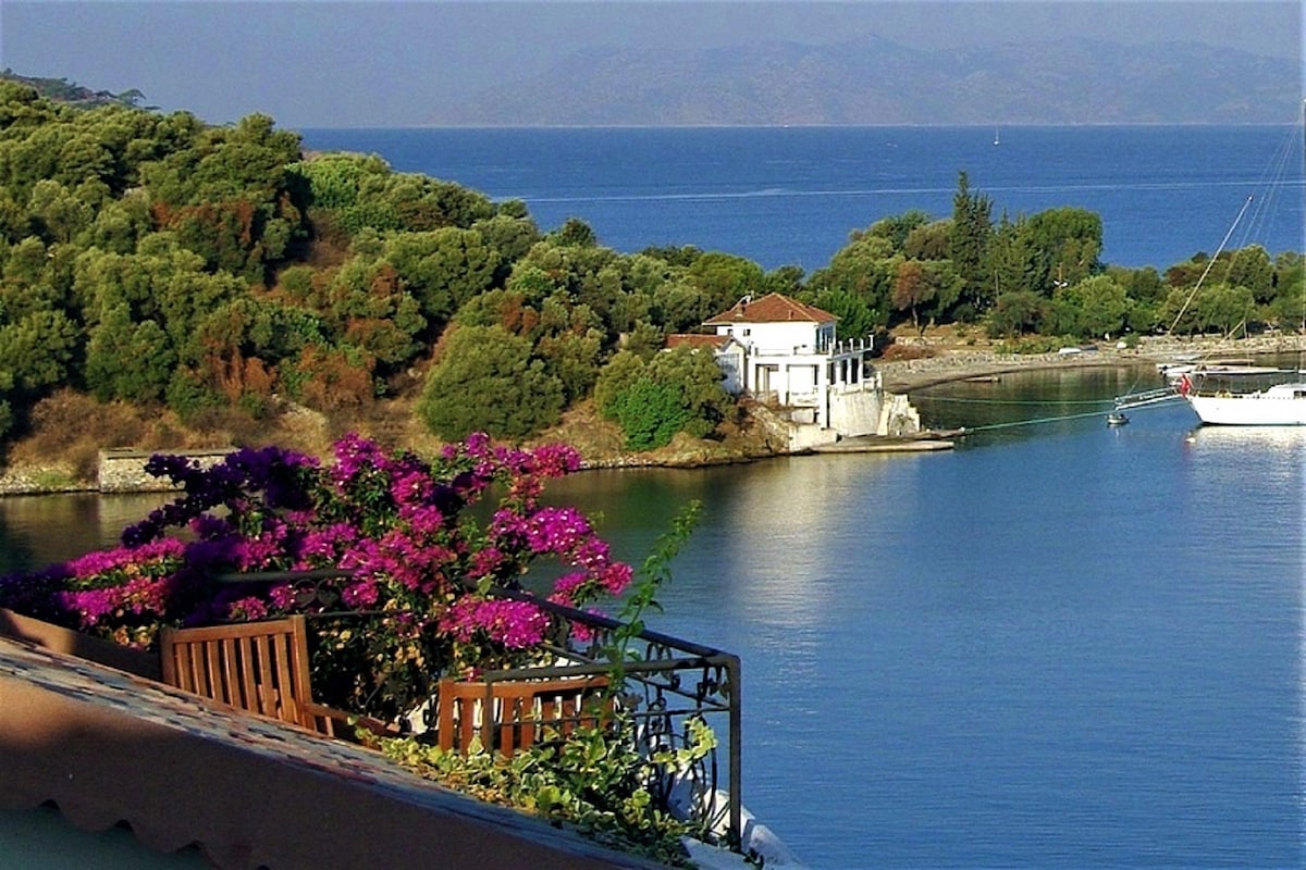 A serene coastal view showcases a vibrant garden with blooming bougainvillea in the foreground. A small white building is nestled along the shoreline, surrounded by lush greenery, with calm blue waters reflecting the sky in the background.