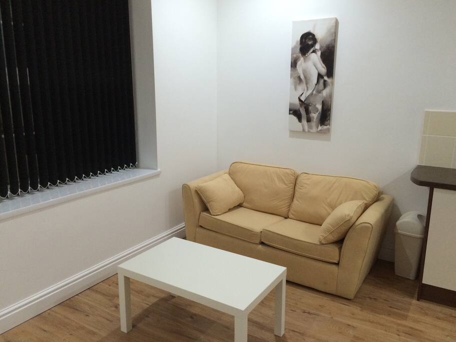 Open Plan living room with sofa bed