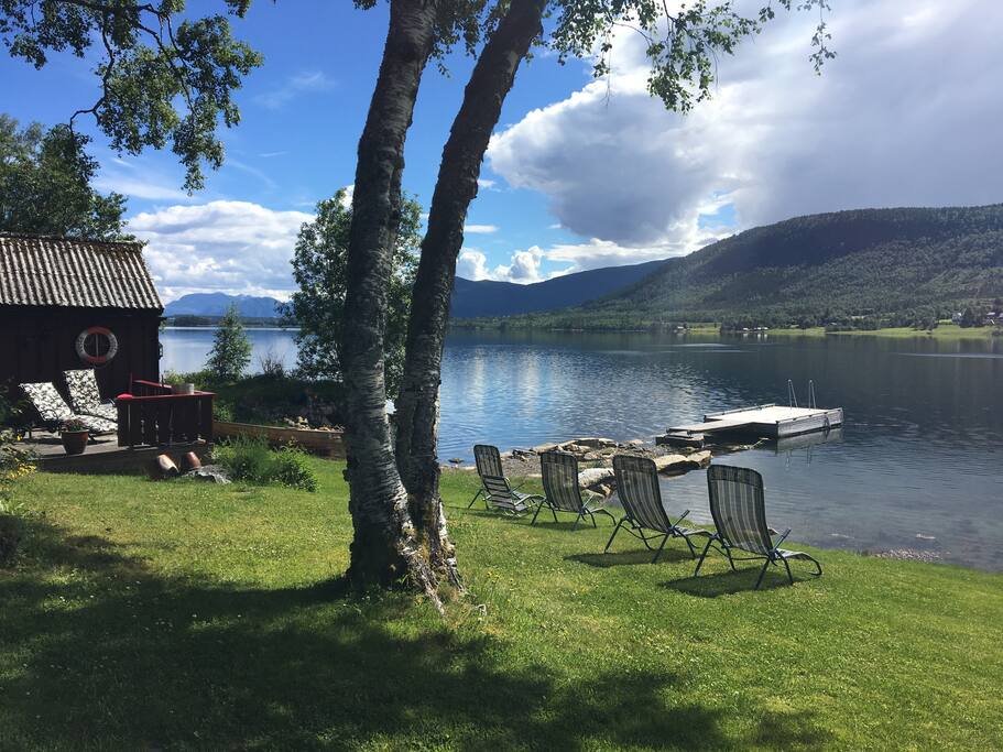 View from the garden