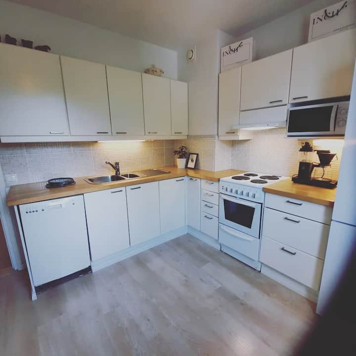 Cozy apartment in the centre of Tampere 56 m2 Apartments for Rent in