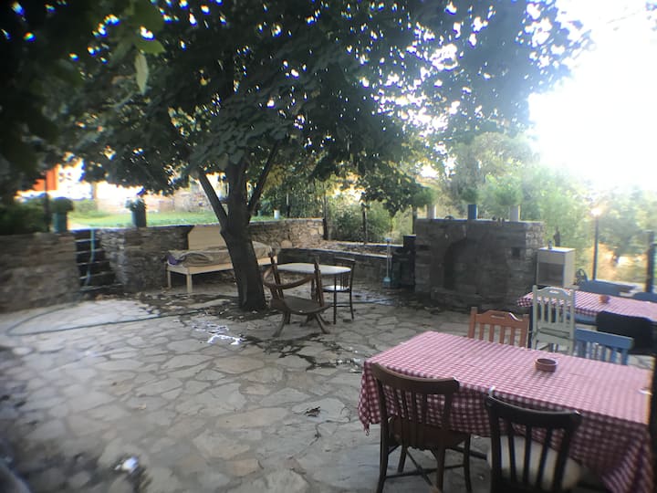 Alice pansiyon cottage house - Şirince