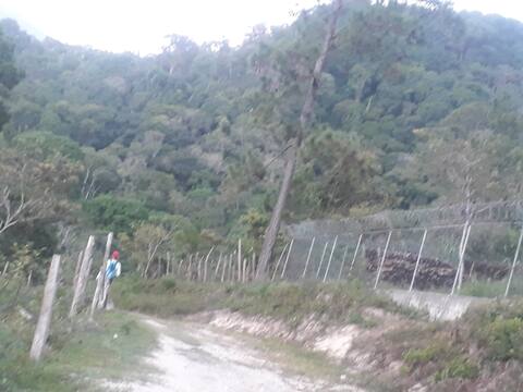Casa campo, rainforest, rivers, coffe plantations.