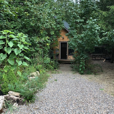 The Bird House
Tobermory Ontario