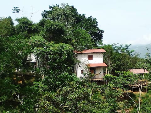 Cabin in the HomeOasis Air