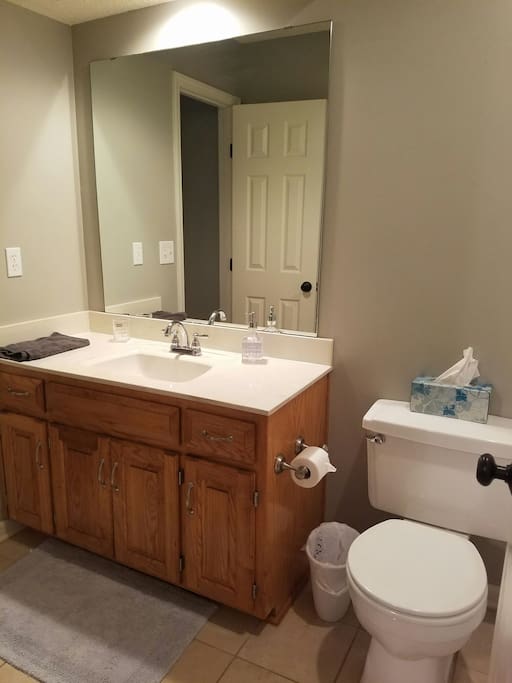 Jack and Jill Bathroom
