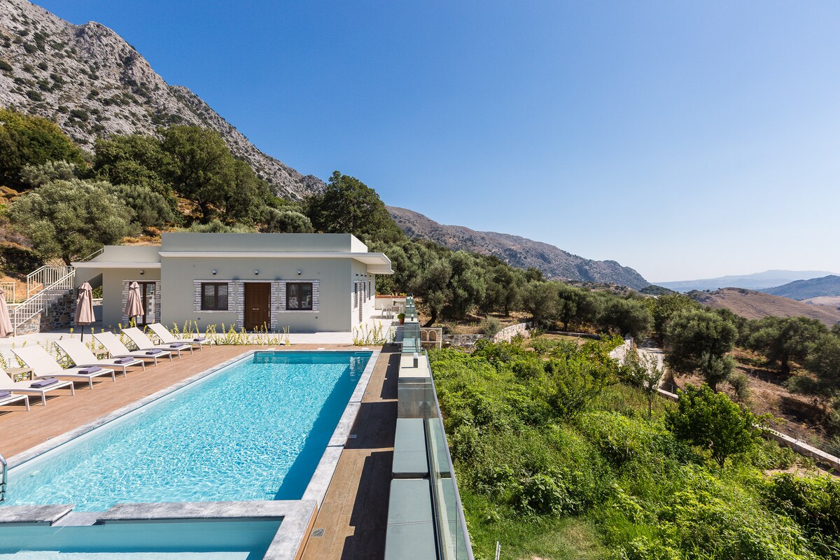 A modern villa is showcased beside a 42m² private pool, surrounded by sun loungers. The peaceful landscape features rolling hills and mature olive trees against a clear blue sky, enhancing the serene atmosphere of this countryside retreat.