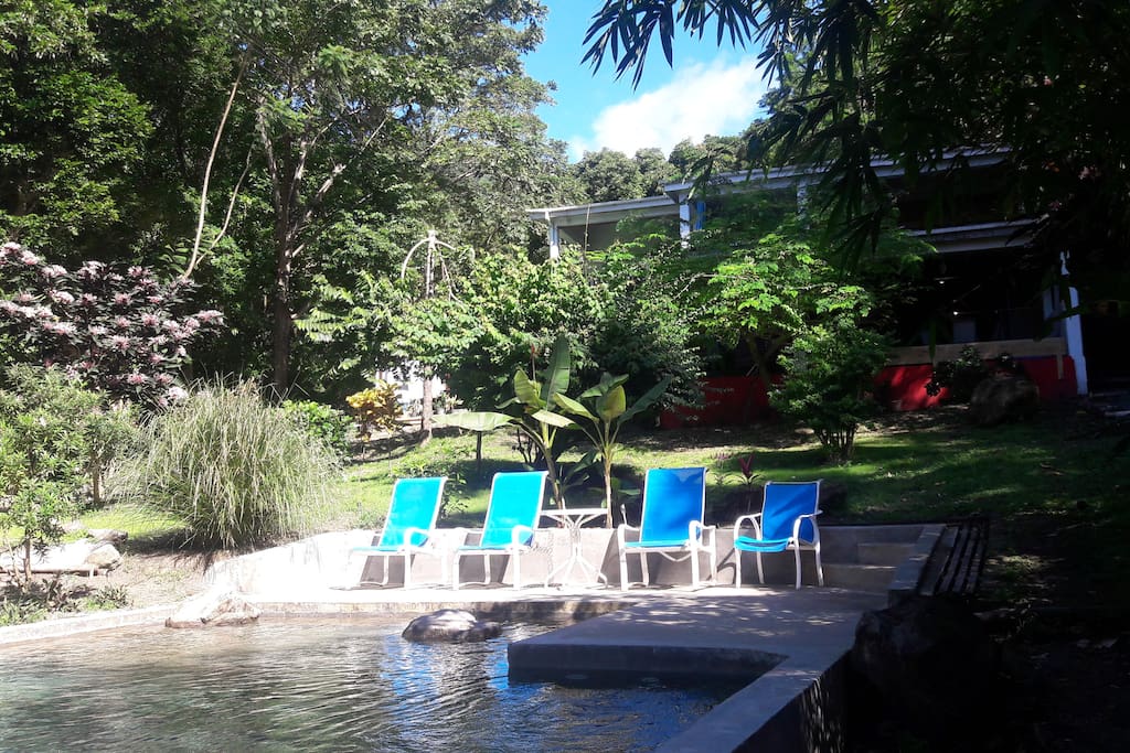 Piscine nichée dans le jardin
Pool and tropical garden