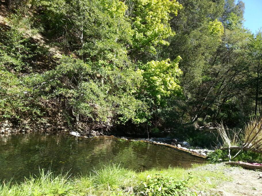 Swimming hole to cool off in summer, bird watch in spring or view wild Salmon spawning in fall