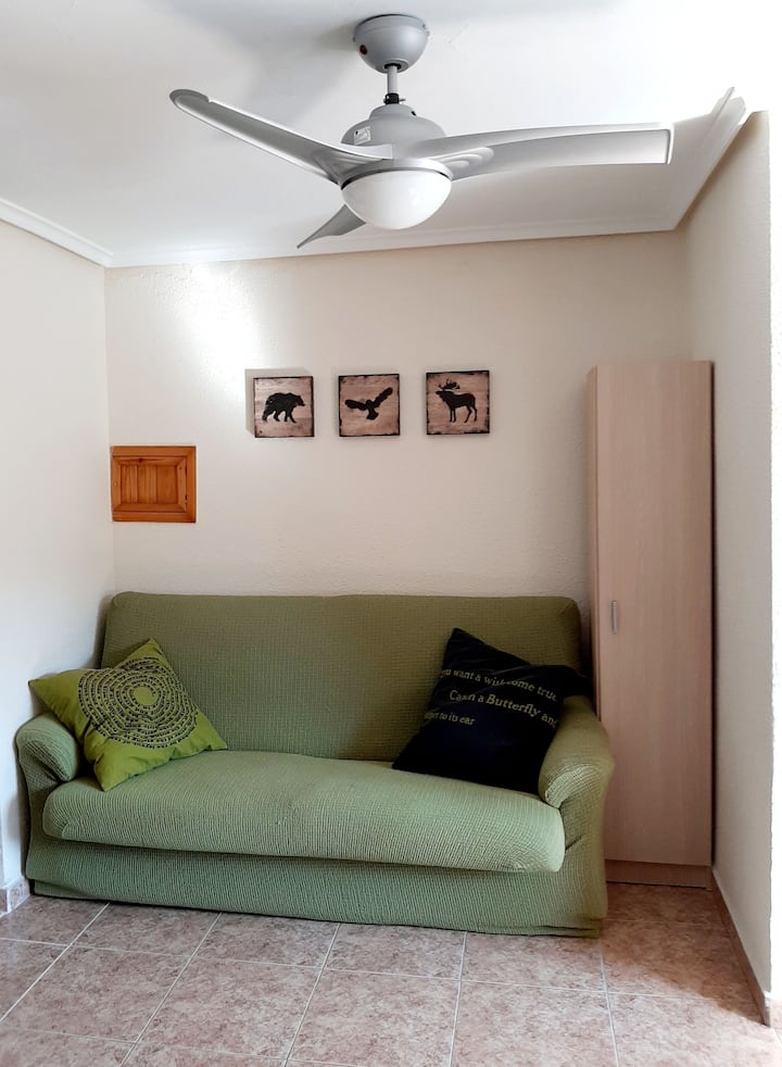 Coqueto Apartamento En El Centro De Sabiñánigo - Sabiñánigo