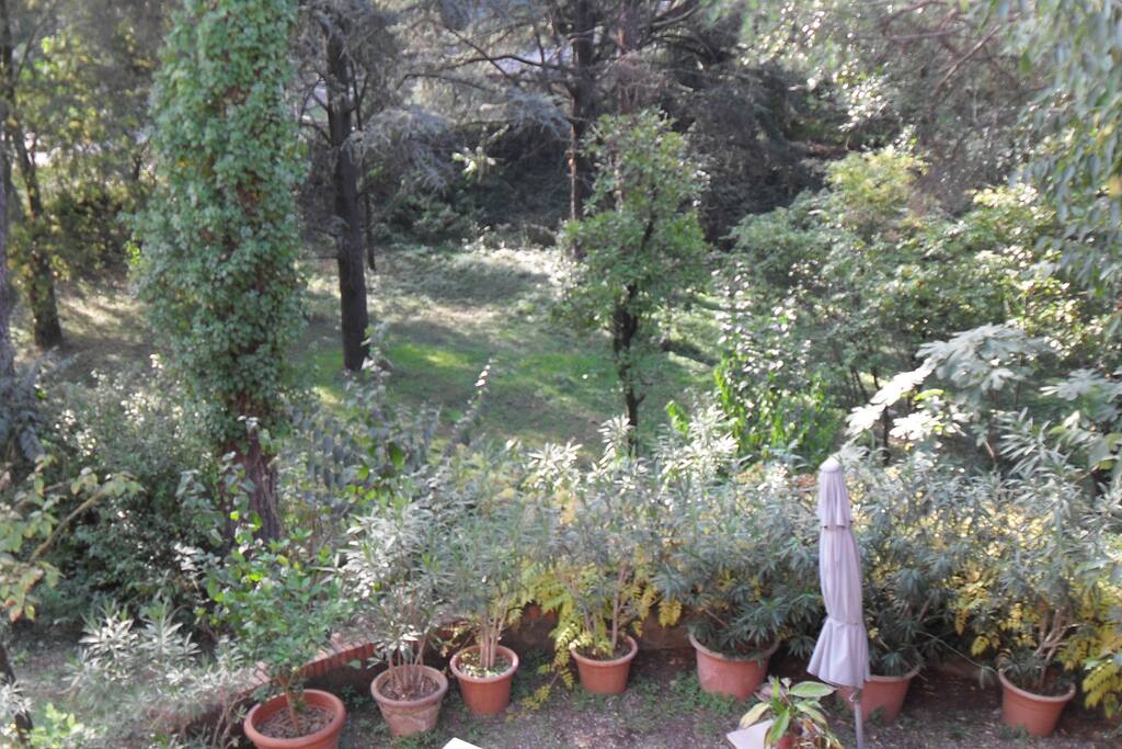 GIARDINO