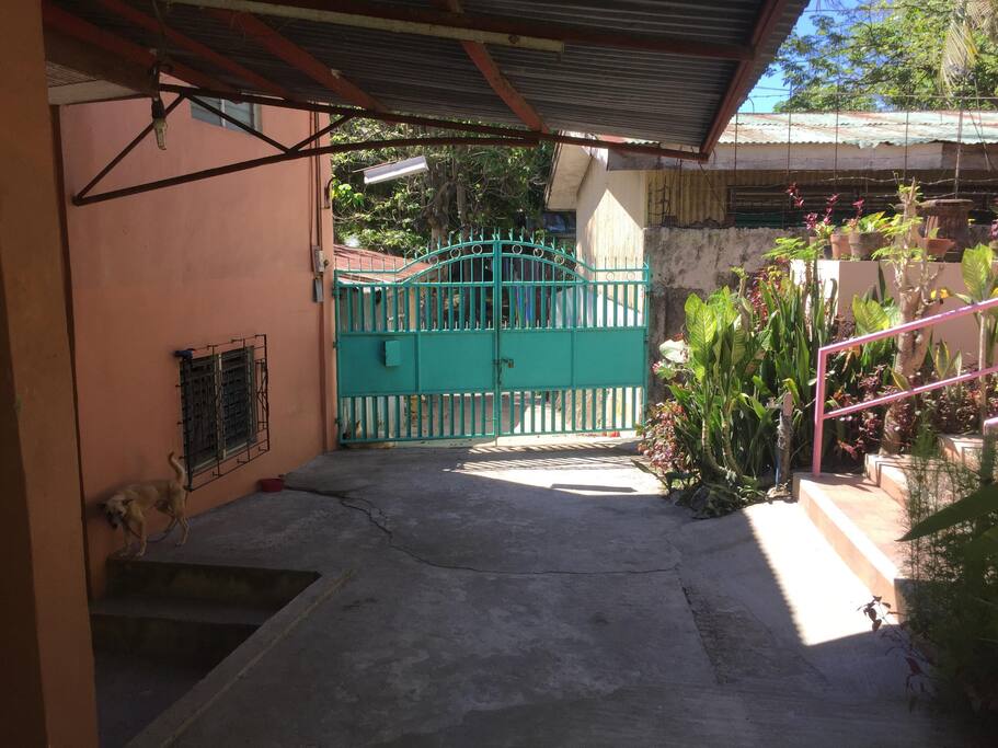 Main Entrance