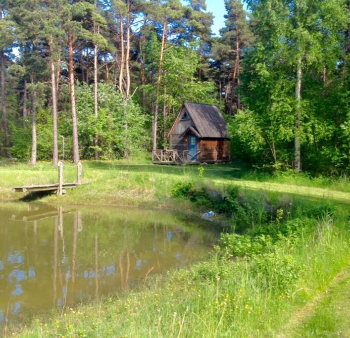 Hütte 2