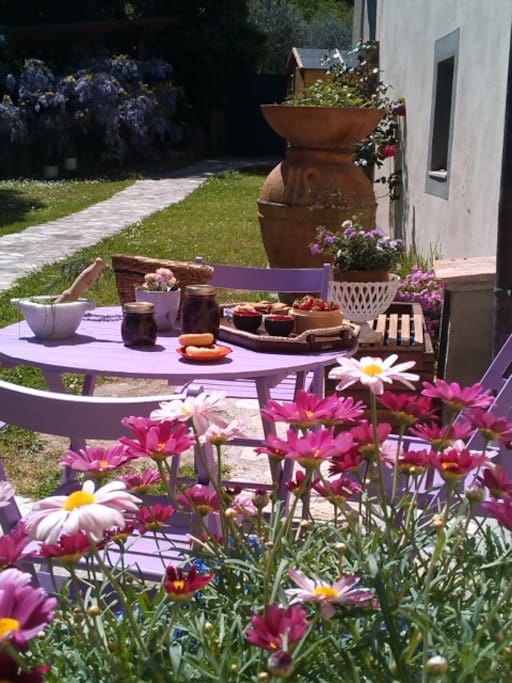 Uno spuntino al sole
tra i fiori