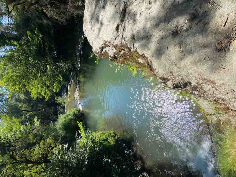 A serene waterway features calm, clear waters surrounded by lush greenery. The gentle slope of the rocky bank leads to the water's edge, enhancing the natural landscape. Sunlight filters through the trees, creating dappled patterns on the surface of the water.