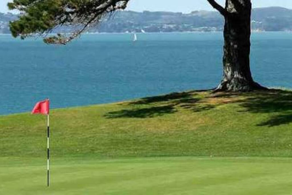 New Zealand's Pebble Beach