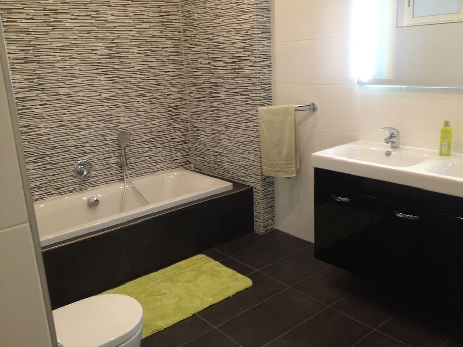 Guest bathroom