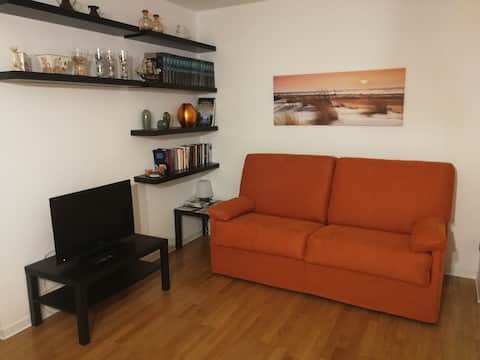 Proprietà Airbnb di successo: The Conero Olive Trees (Ancona – Portonovo) a Ancona