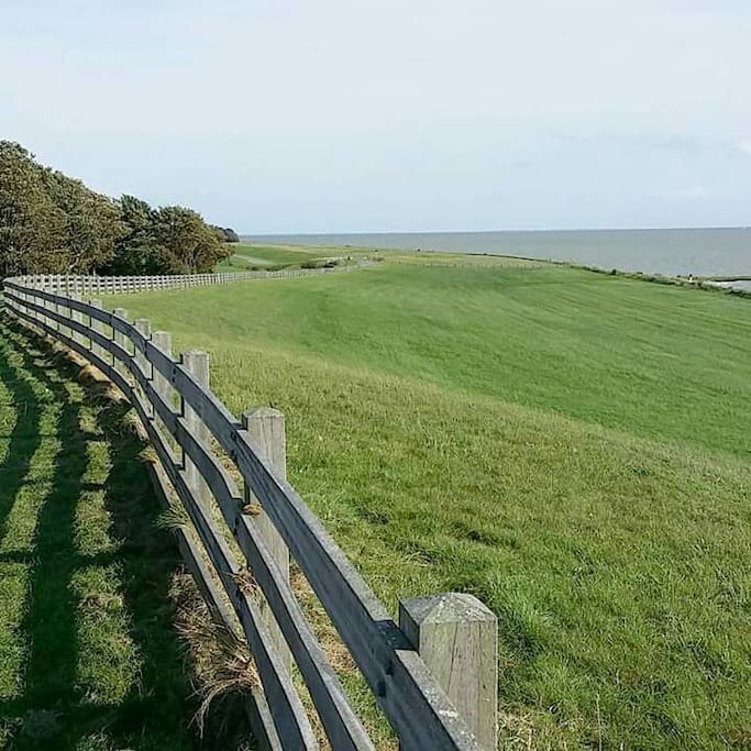 Aan de ijsselmeerkust bij laaxum