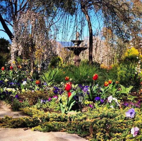 Urimbirra Farm  - Home Stays -  Mansfield District