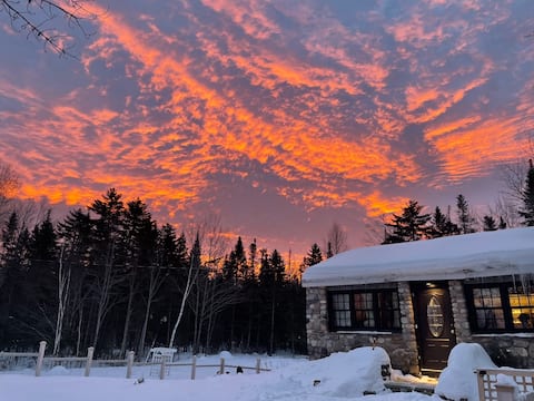 Euro-style Woodland Retreat-Great Northen Tea Haus