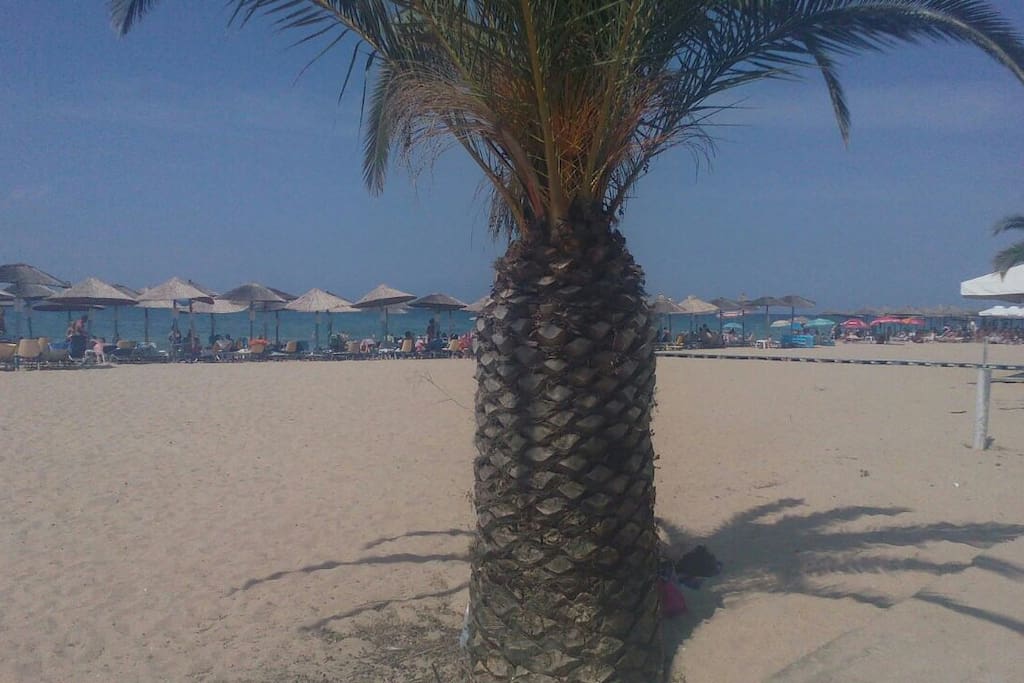 very clean and beautiful beach and only 50 meters distance