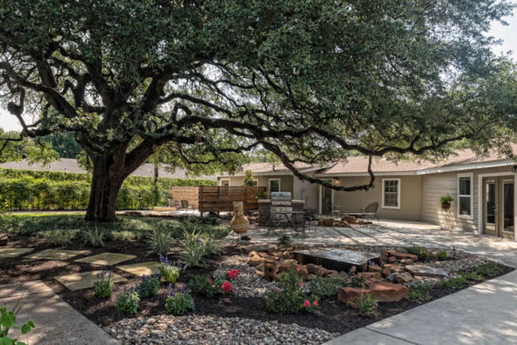 Backyard has 2 gas grills, wood burning chimenea and fountain with over head hanging lights that come on in the large oak tree at dusk