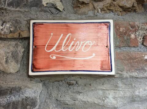 MONTEDIVALLI near 5TERRE   ulivo