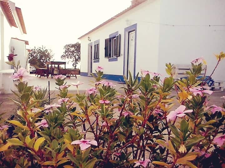 Casainha Alentejana Dto Houses for Rent in Odemira, Beja, Portugal