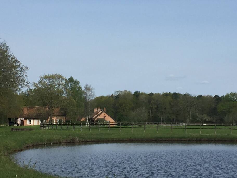 Vue depuis l'étang vers la maison