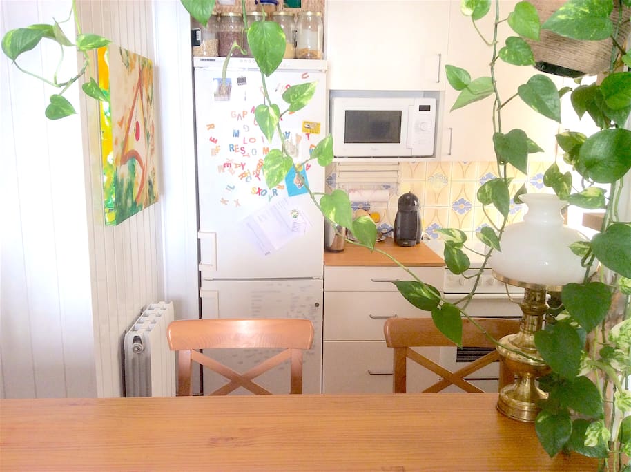 Cocina