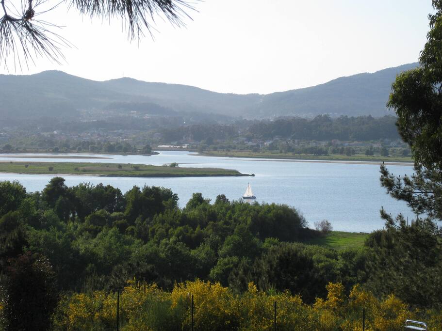 Vista do Rio Minho