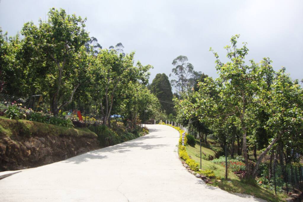 Drive up into the community
