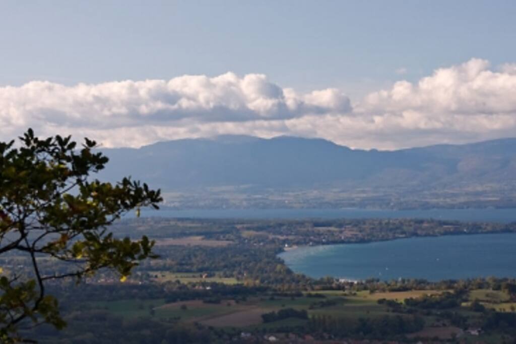 Vue de la maladière