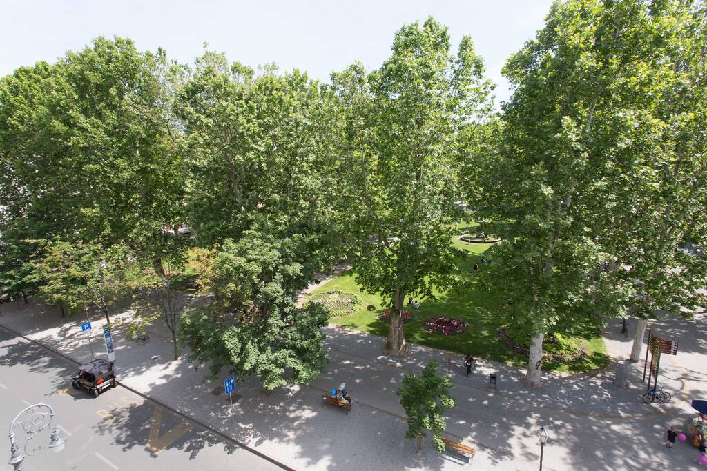 Window View - beautiful Zrinjevac Park
