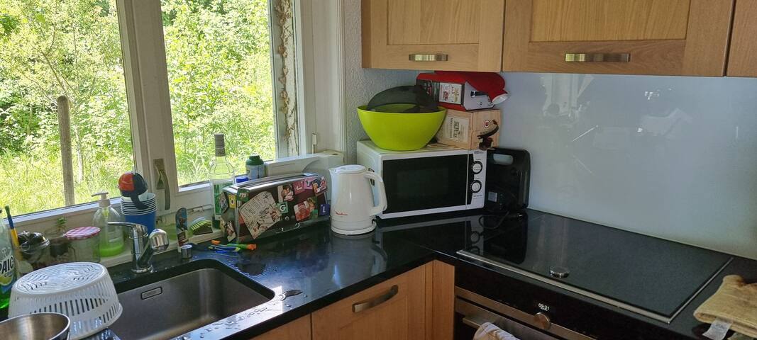 Villa 5 chambres, magnifique vue sur le lac leman gallery image 4