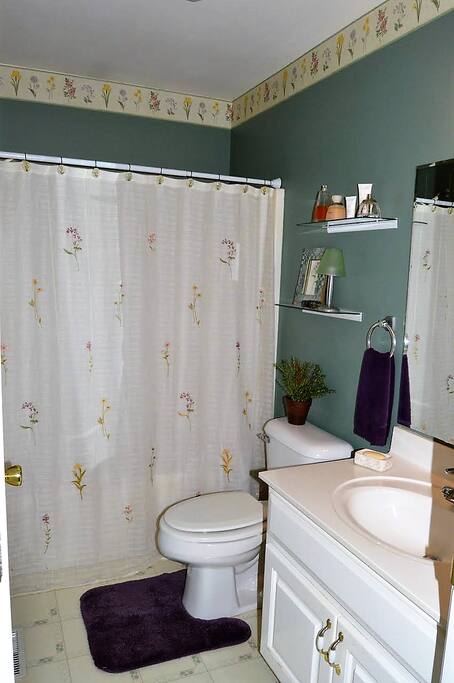 Full Bath with tub & shower