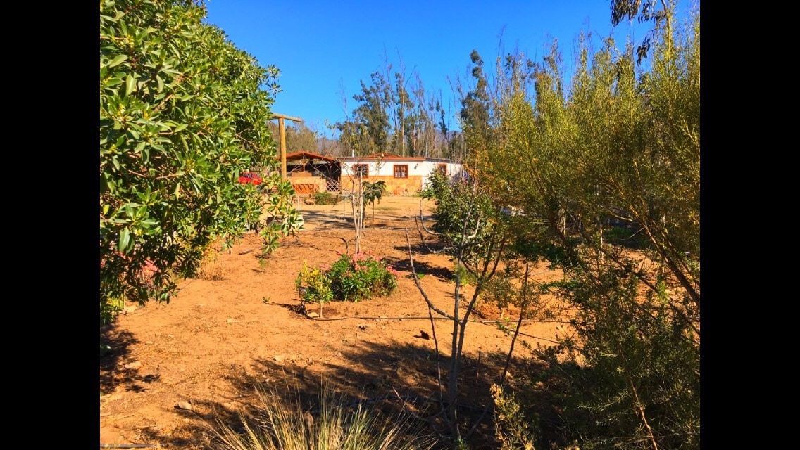 A serene outdoor space is surrounded by various plants and trees, offering a natural setting. A simple structure is visible in the background, blending with the landscape. The clear blue sky enhances the tranquil atmosphere of the rural area.