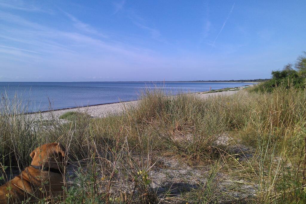 250m fra 17km sandstrand.