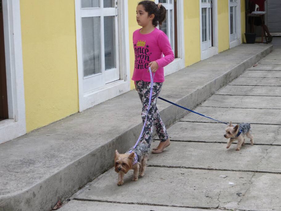 Seu pequeno animal de estimação é bem vindo.