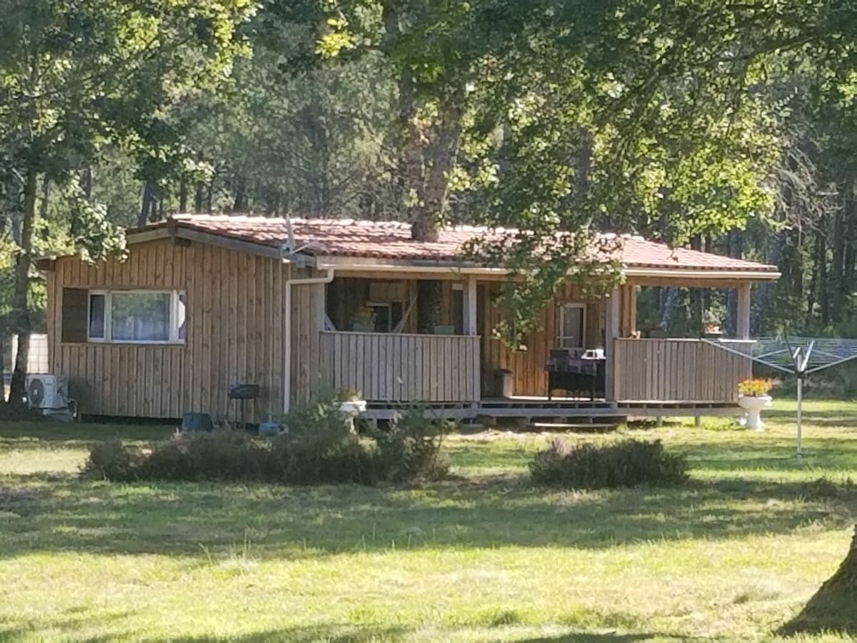 A wooden cabin sits among lush greenery, featuring a covered porch with seating. Large windows provide natural light, and the surrounding area includes grass and scattered shrubs. An outdoor clothesline is visible in the yard, enhancing the rustic charm of the setting.