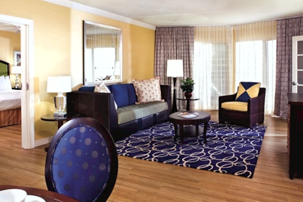 Large living room with queen sofabed
