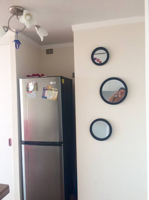 Refrigerador y lavadora