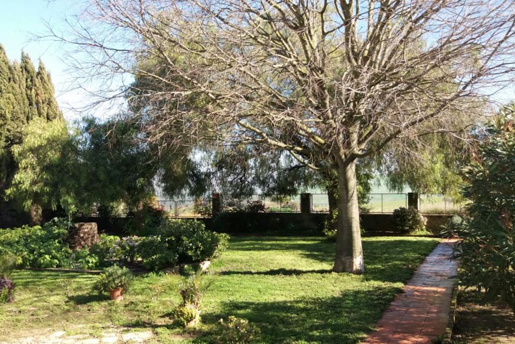 Privater Garten Ferienhaus
