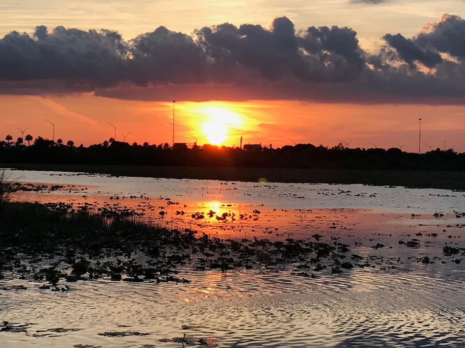 Backyard Sunset View