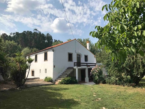 Dreamy days in Rosas, Portugal